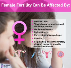 fertility