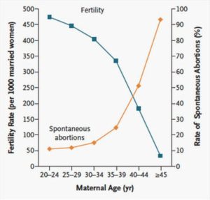 biological clock