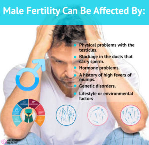 fertility