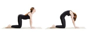 yoga postures