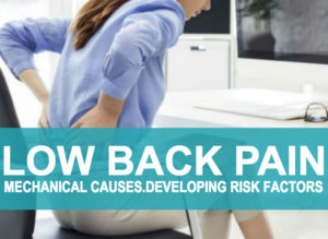 Low Back Pain, Causes, Risk Factors & Prevention! - Veledora health