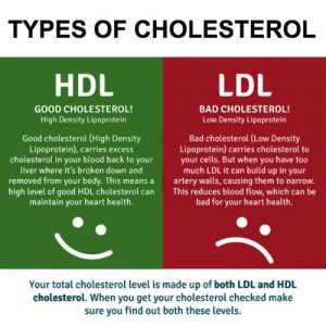 CHOLESTEROL LEVEL