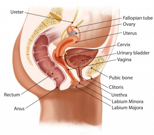 frequent urination