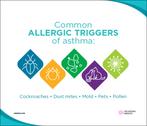 understanding asthma