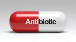 antibiotic resistance