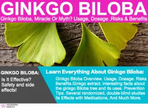 Ginkgo Biloba