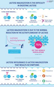 manage lactose intolerance