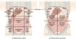 quadrant pain